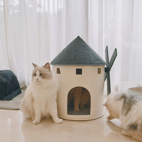 Windmill Cat Bed