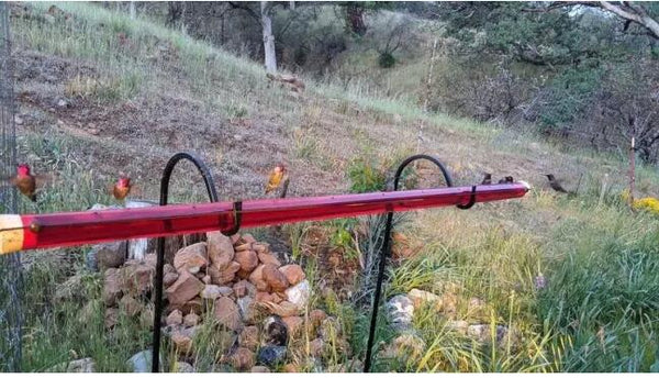 Hanging Long Tube Red Bird Feeder