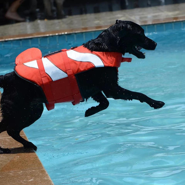 Dog Life Vest