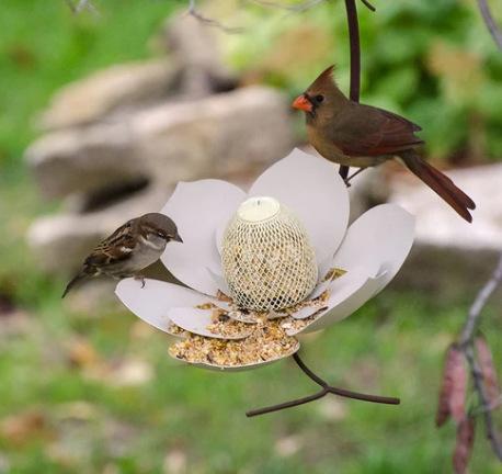 Coneflower Petal Shape Garden Bird Feeder