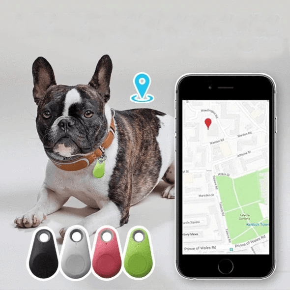 Pets GPS Tracker & Activity Monitor