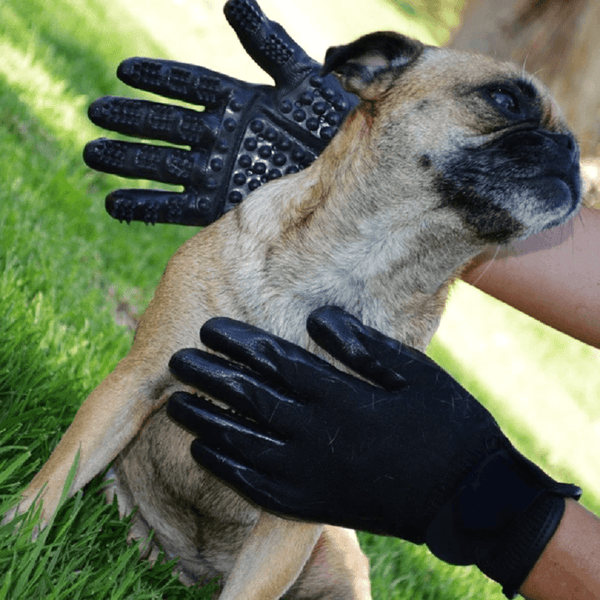 Pet Grooming Gloves