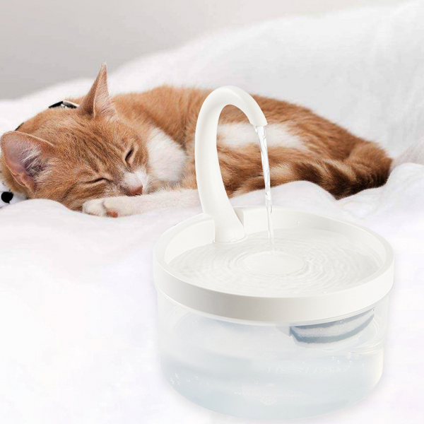 Swan Neck Cat Water Fountain