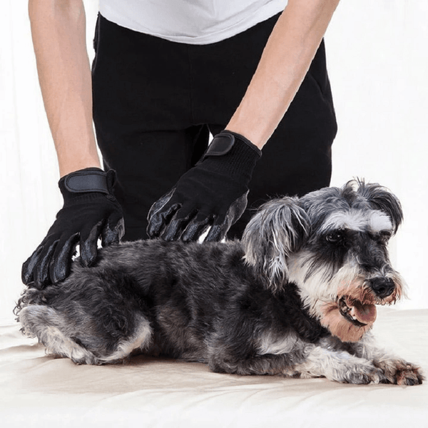 Pet Grooming Gloves