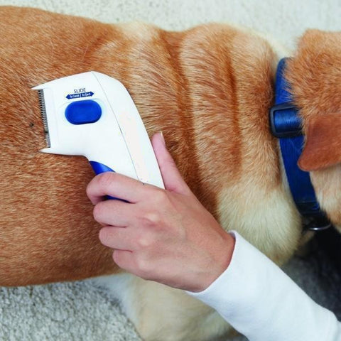 Electric Flea Comb for Pets