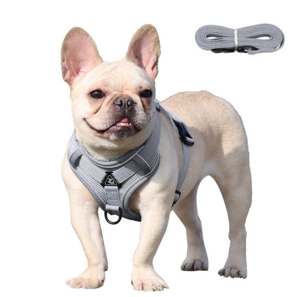 No Pull Reflective Dog Harness with Leash