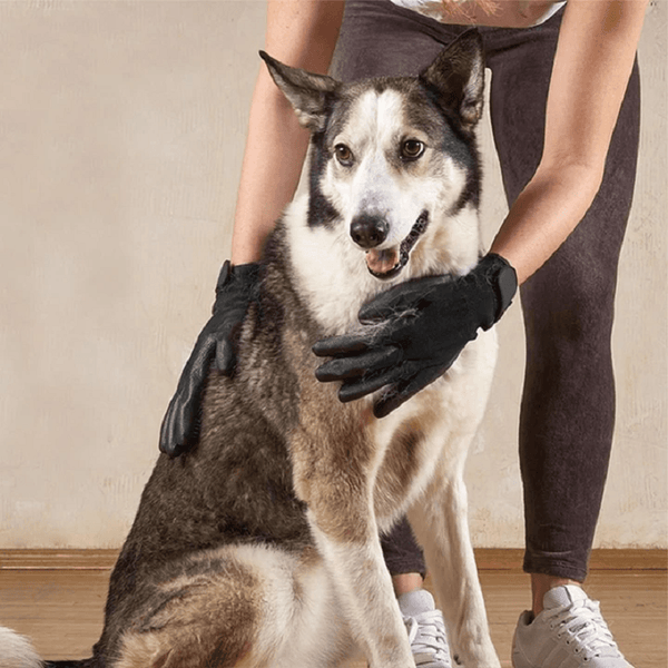 Pet Grooming Gloves