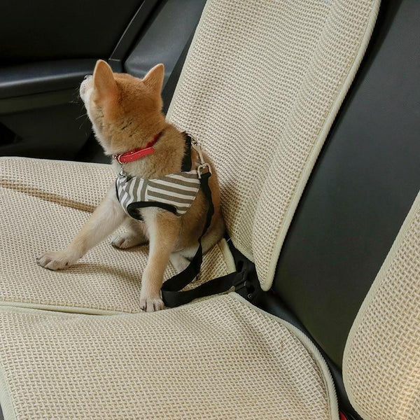 Premium Dog Car Seat Belt