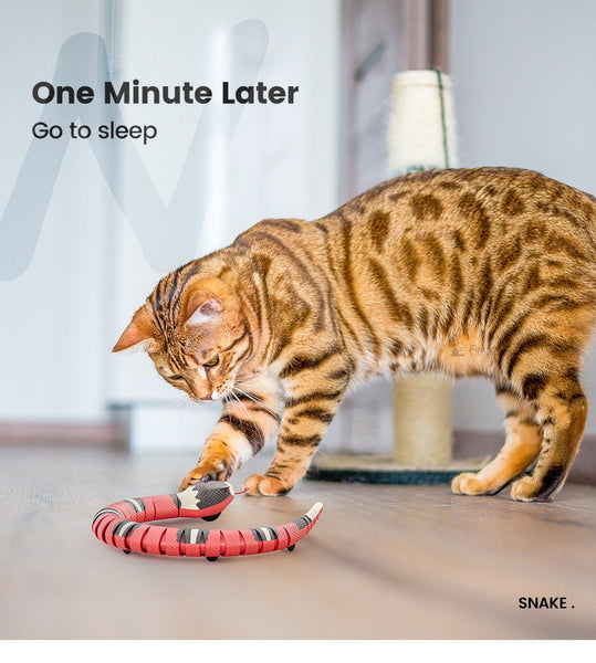 Creative Smart Sensing Snake Cat Toy