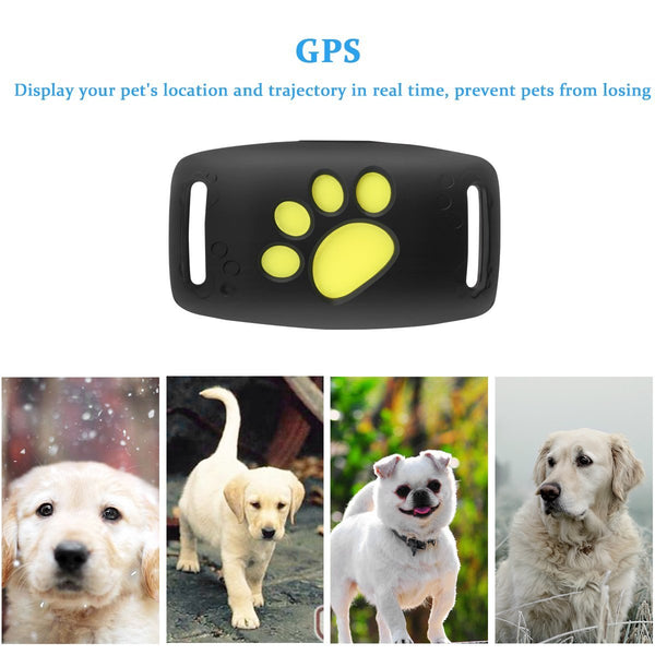 Pet GPS Tracker Locator Device