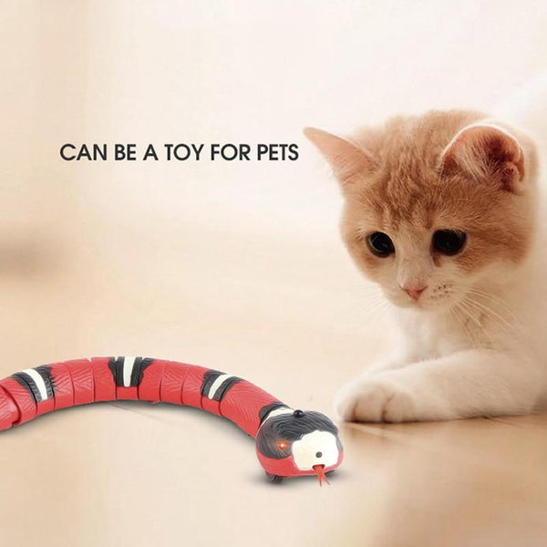 Creative Smart Sensing Snake Cat Toy