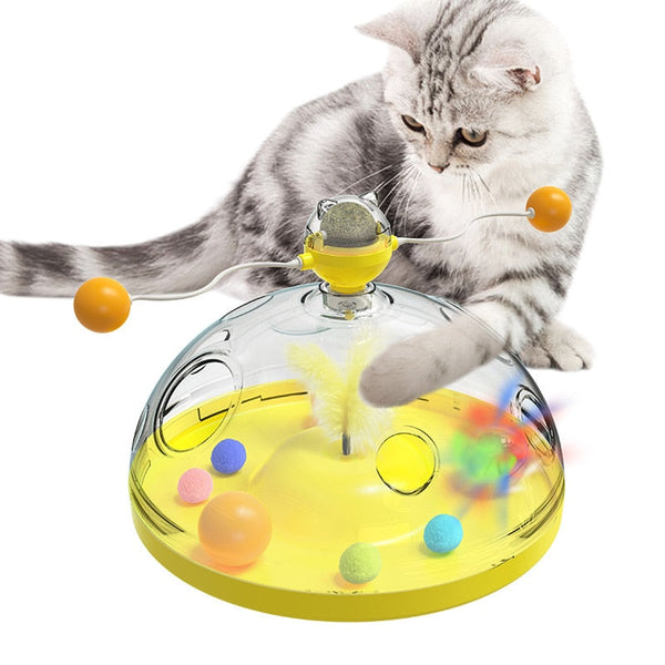 Windmill Interactive Turntable Cat Toy