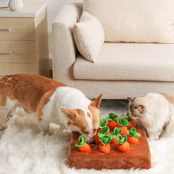 Interactive Carrot Plush Dog Toy