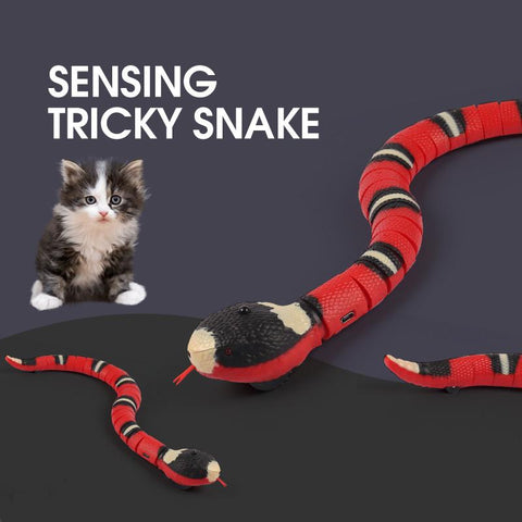 Creative Smart Sensing Snake Cat Toy