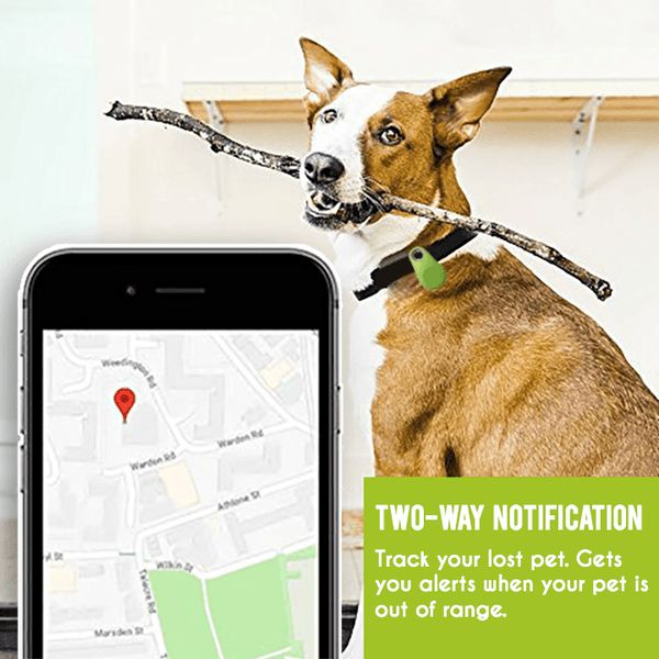 Pets GPS Tracker & Activity Monitor