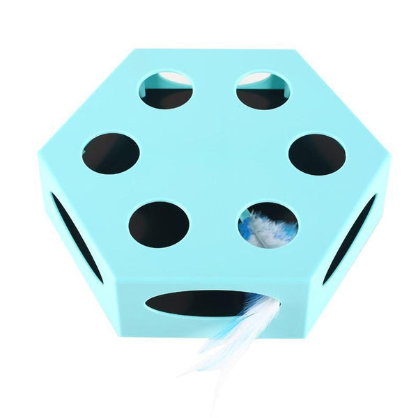 Magic Chaser Interactive Cat Toy