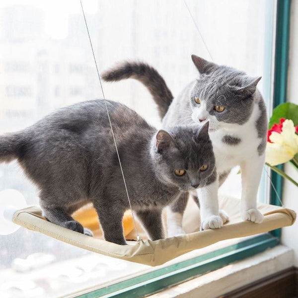 Window Mounted Cat Bed - Cat Hammock