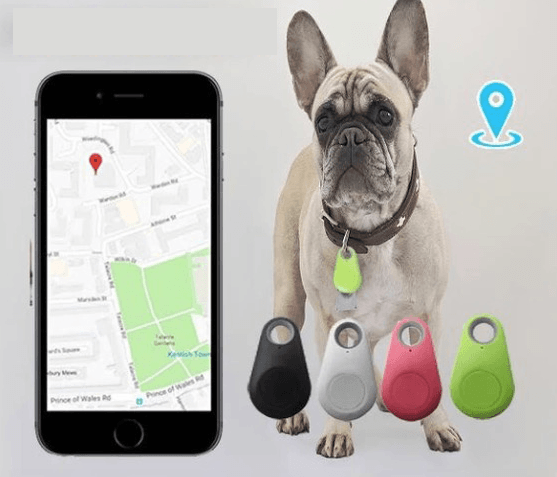 Pets GPS Tracker & Activity Monitor