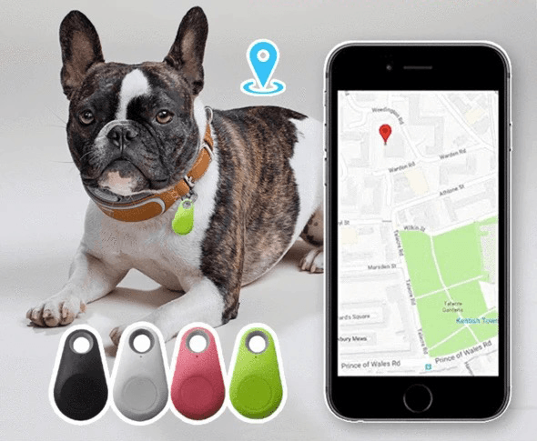 Pets GPS Tracker & Activity Monitor