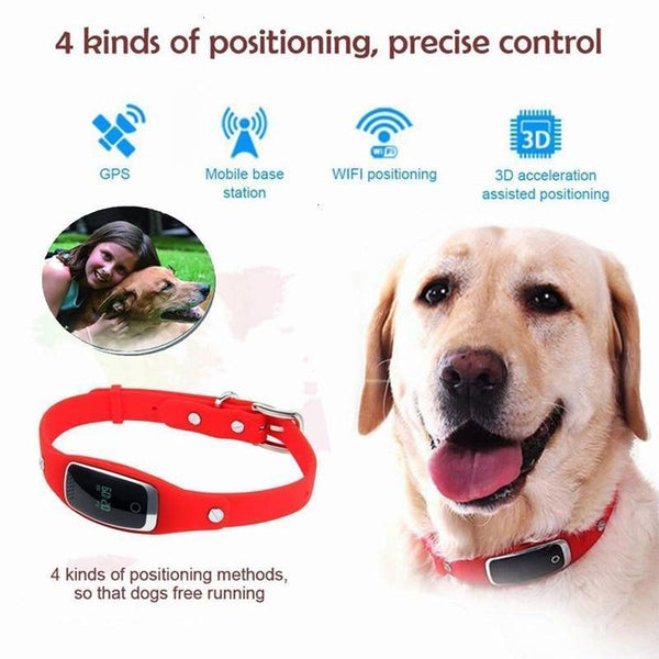 Pet GPS Dog Collar