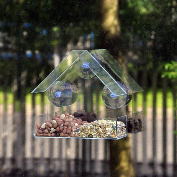 Window Bird Feeder