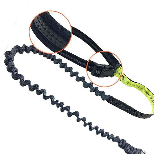 Handsfree Bungee Dog Leash with Waist Bag