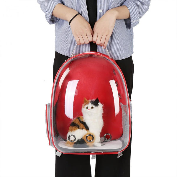 Full Transparent Capsule Cat Bag