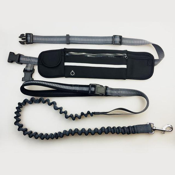 Handsfree Bungee Dog Leash with Waist Bag