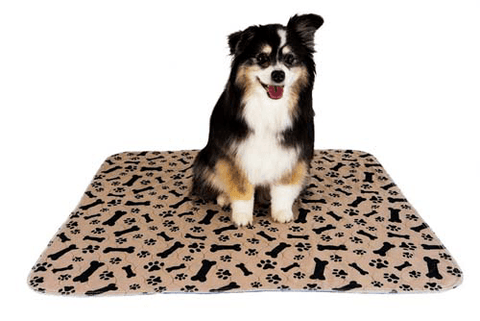 Eco-Friendly Reusable Dog Pee Pads