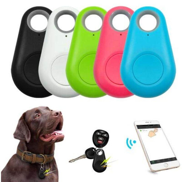 Pets GPS Tracker & Activity Monitor