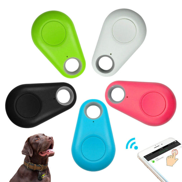 Pets GPS Tracker & Activity Monitor